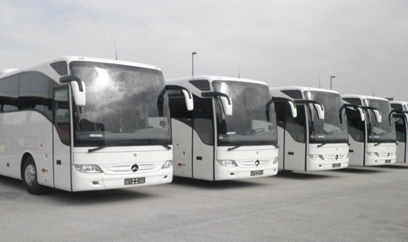 Europe: Bus company in Hungary in Hungary and Hungary